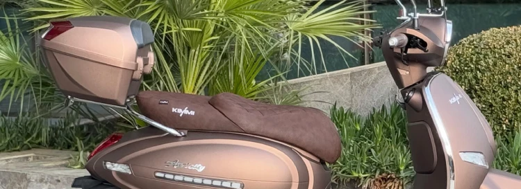 Kimmi Apricity Sele Tasarimi